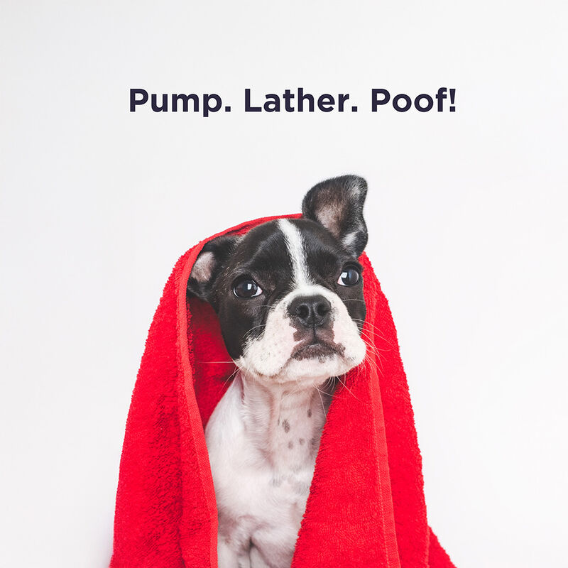CHI For Dogs Deodorizing No Rinse Foam, , large image number null